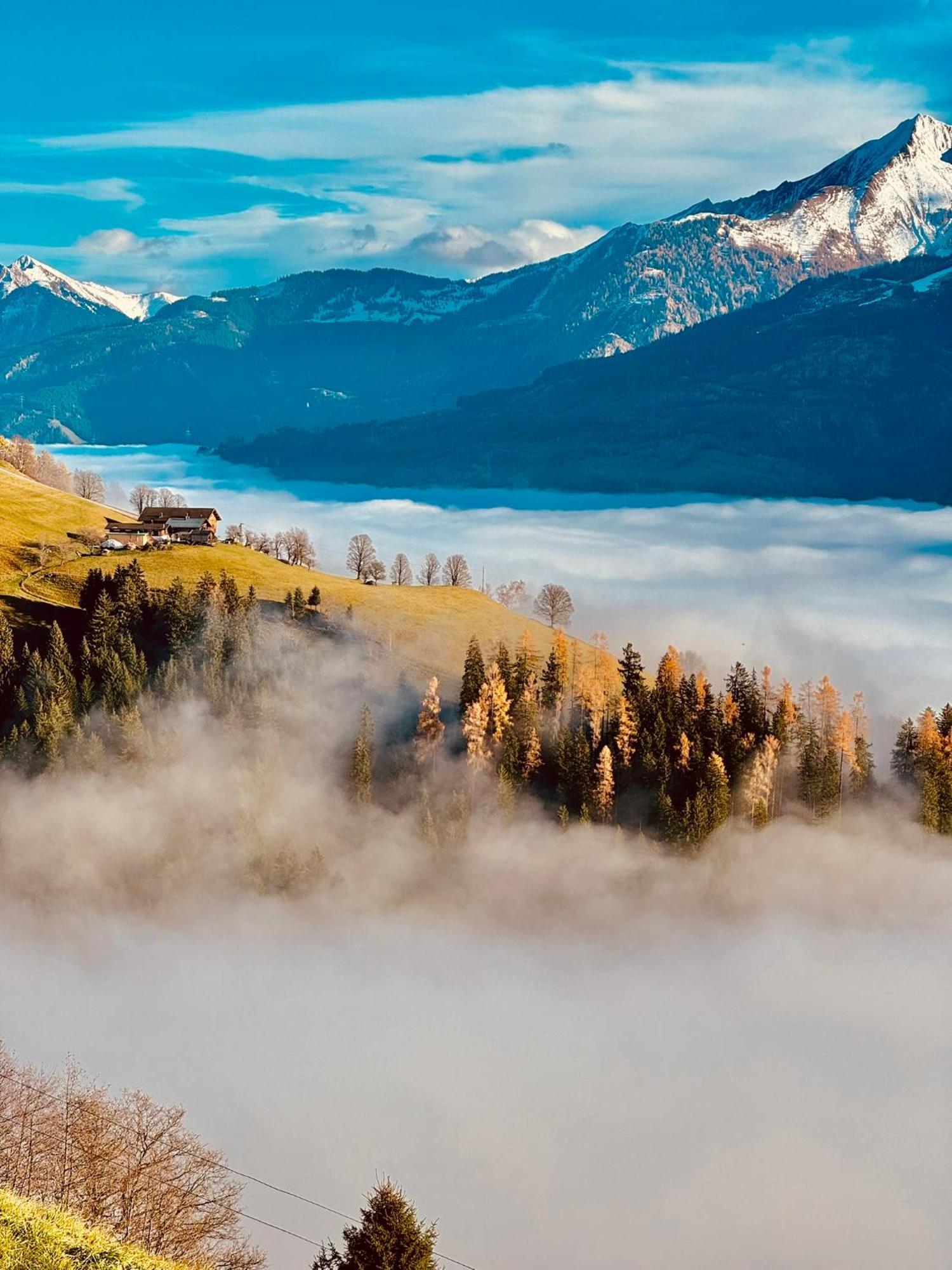 Hochleiten-Gut นีเดิร์นซิลล์ ภายนอก รูปภาพ